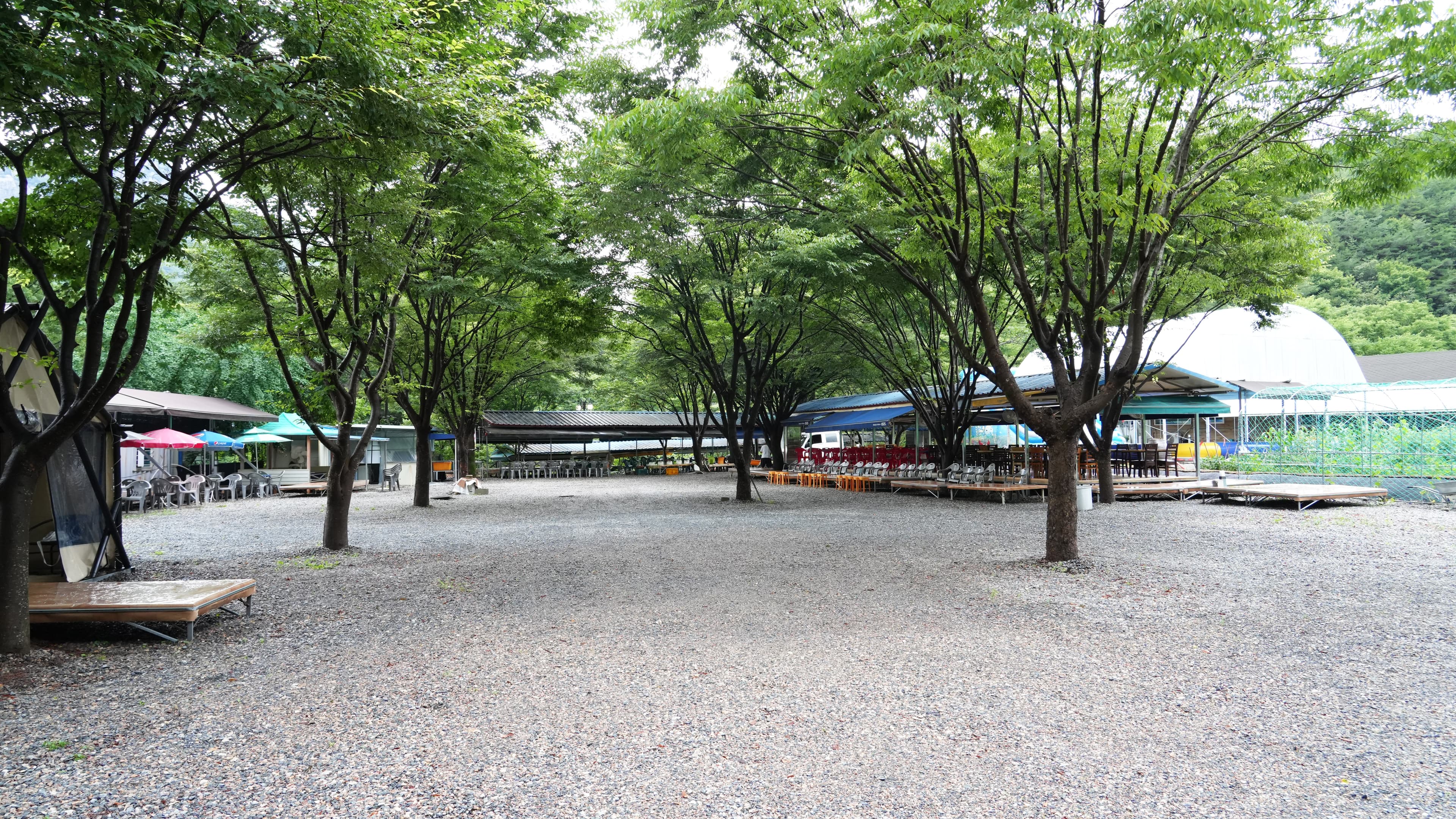 마당 전경